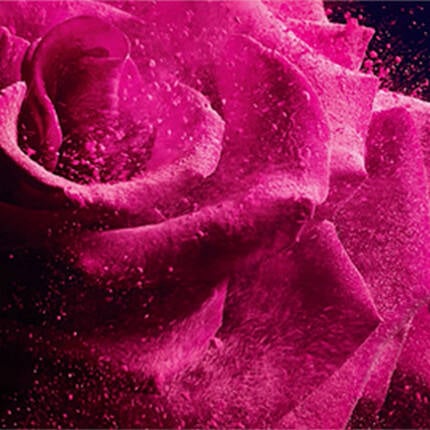 Lancome Careers