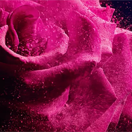 Lancome Careers