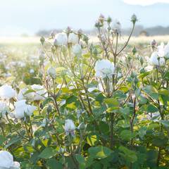 Illustration for an article Skincare