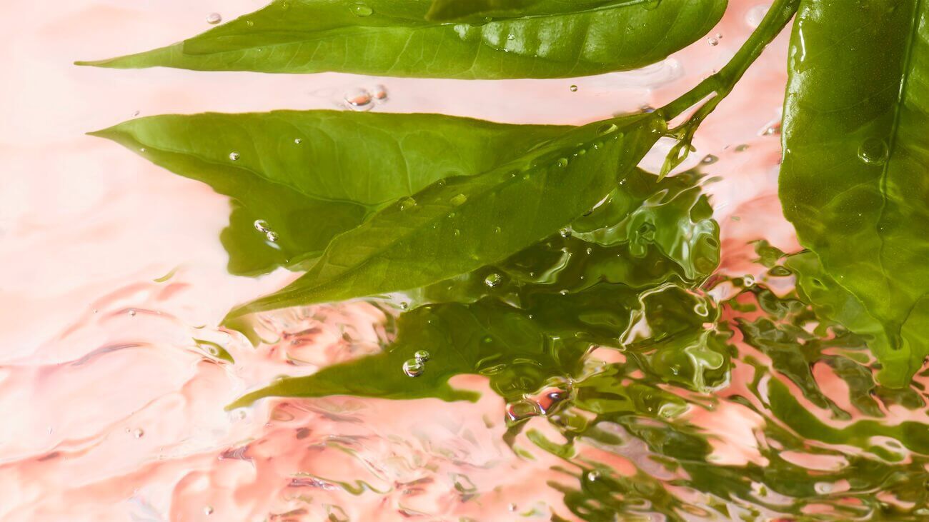 Fresh beauty visual for Lancome