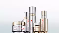 Absolue Collection