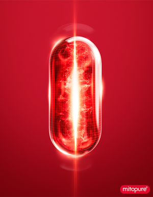 Longevity Beauty Visual Lancome