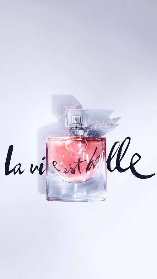 La Vie Est Belle Illustration