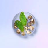 Moringa Seed Extract Ingredient