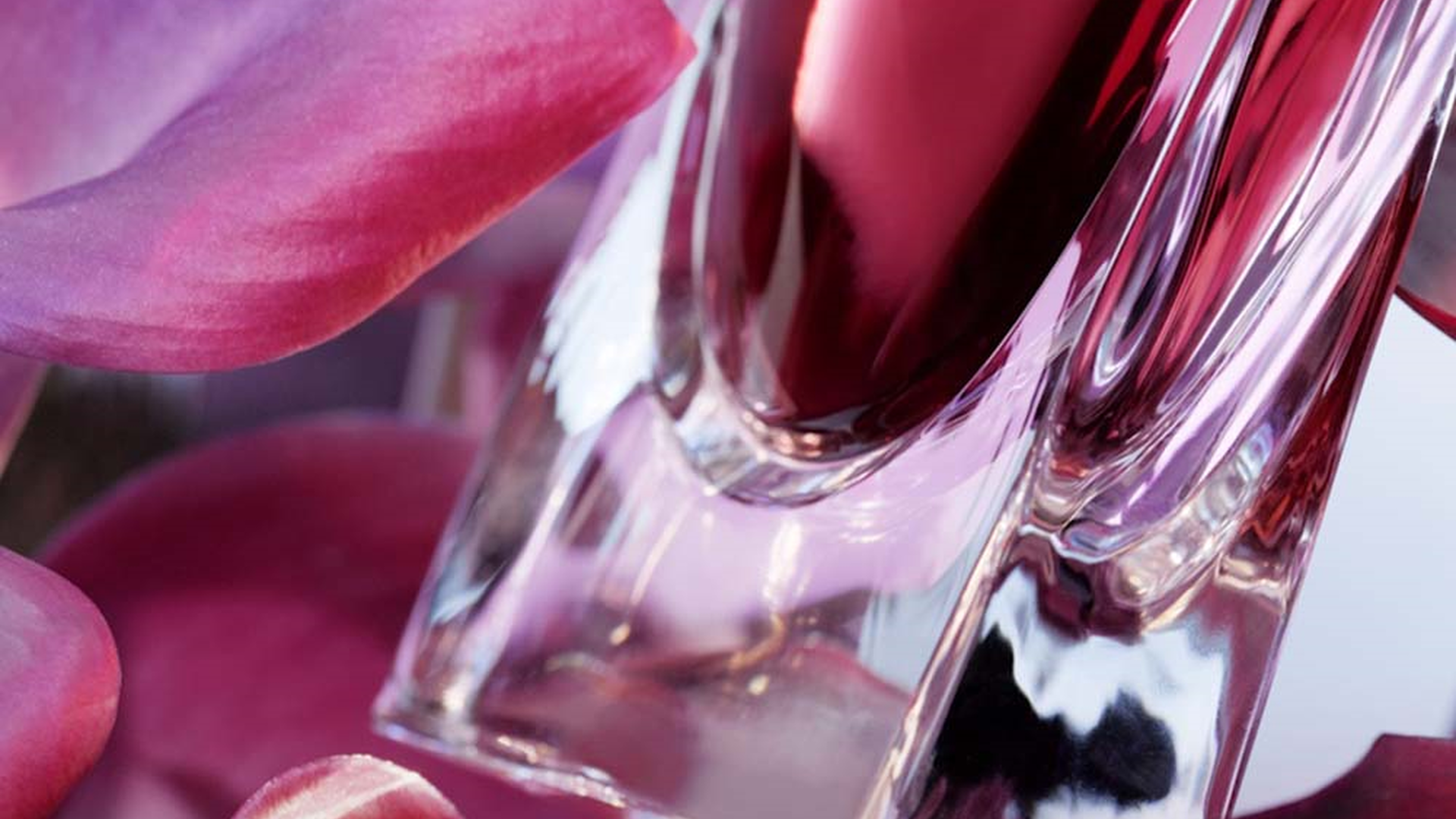 Amazon.com: Lancôme L'Absolu Rouge Hydrating Cream Lipstick