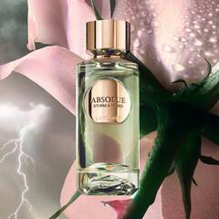 Storm & Roses