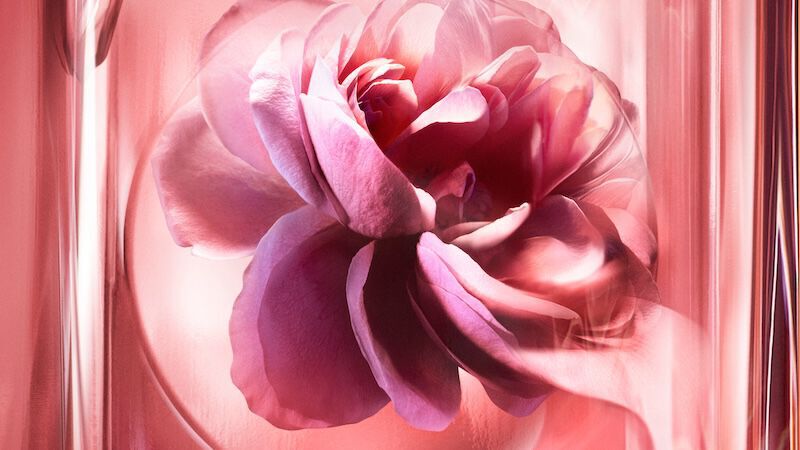 Floral beauty visual for Lancome