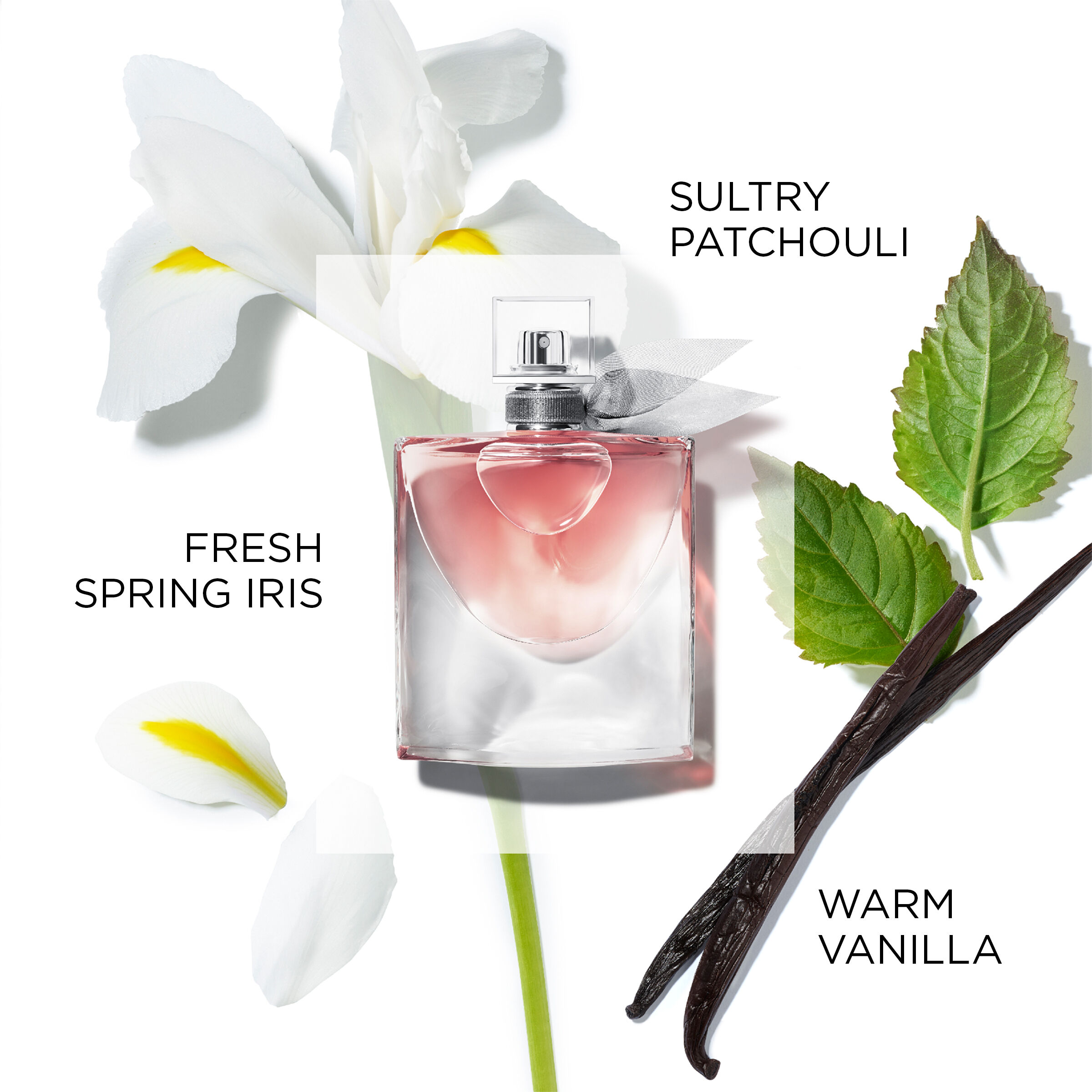 la vie est belle eau de parfume