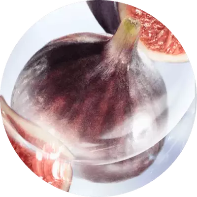 FIG AND BLACKCURRANT