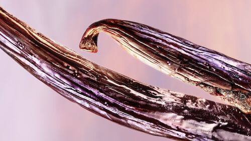 alt for 2nd ingredient picture