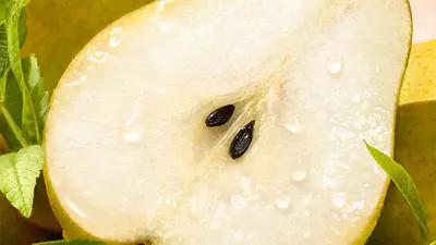 Fizzy Pear Accord