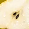 Fizzy Pear Accord