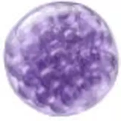 300 Types of Peptides