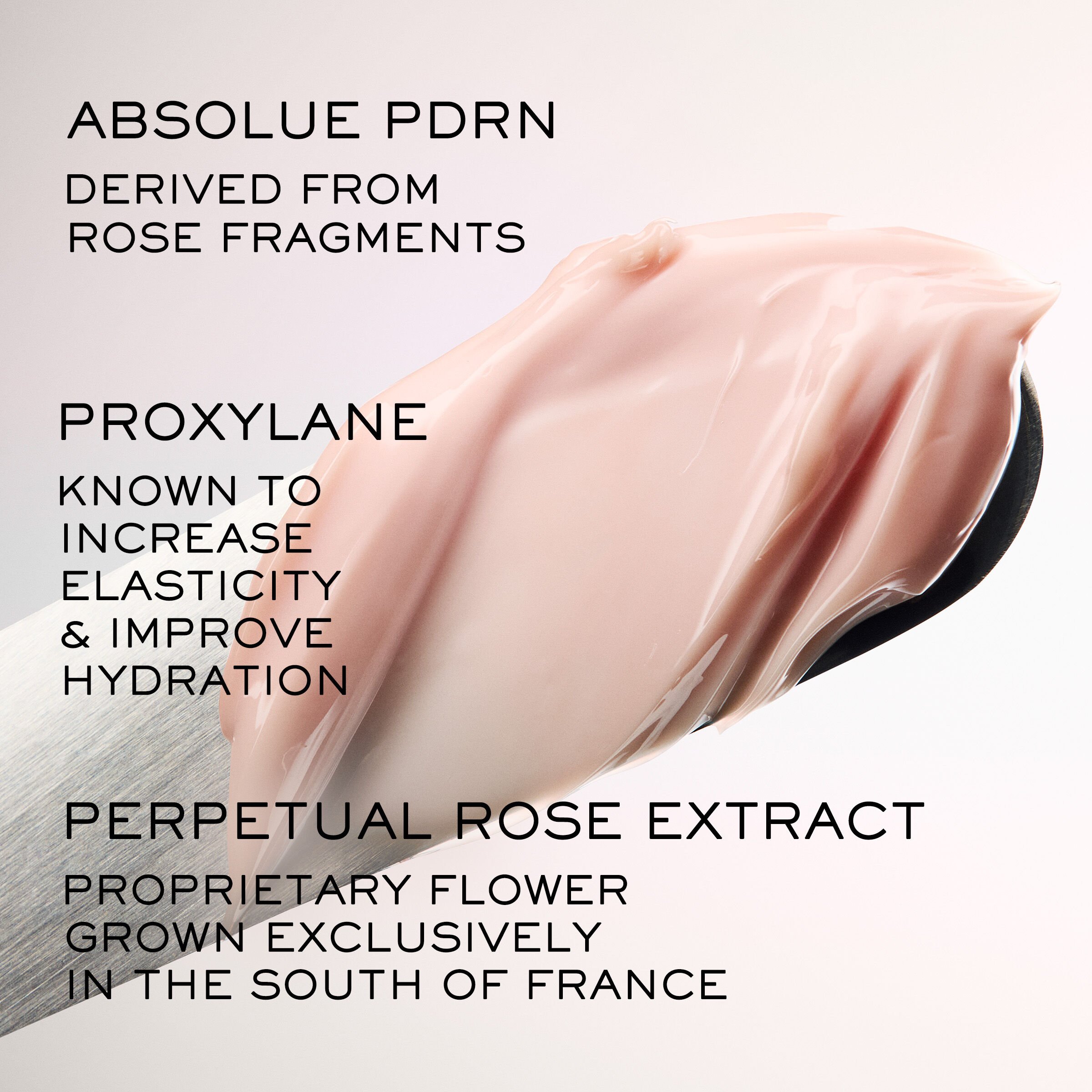 Absolue Longevity Soft Cream