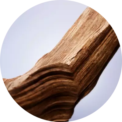 WOODY MUSK