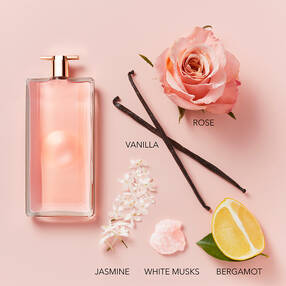 Musk Note A Guide to Musk in Perfume: The Note & Scent of Musk - Lancôme