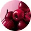 DECADENT BLACK CHERRY ACCORD