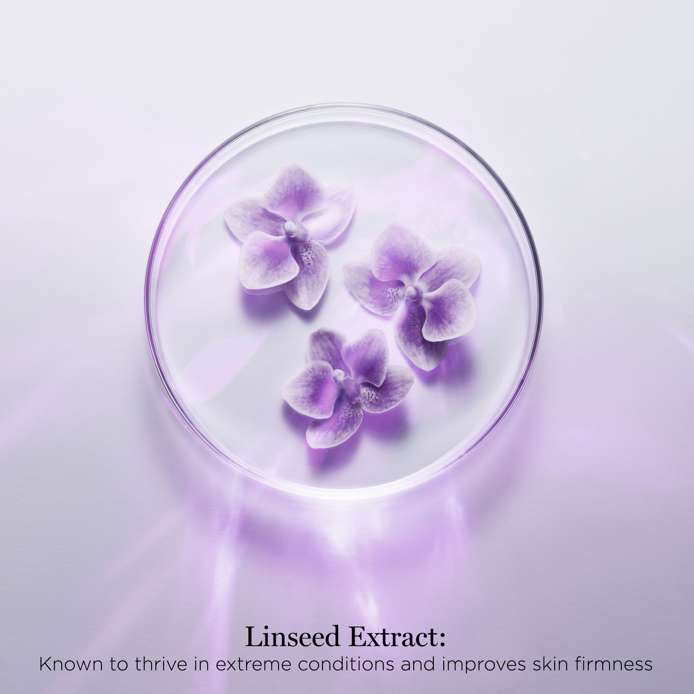 lancome renergie multi glow eye cream