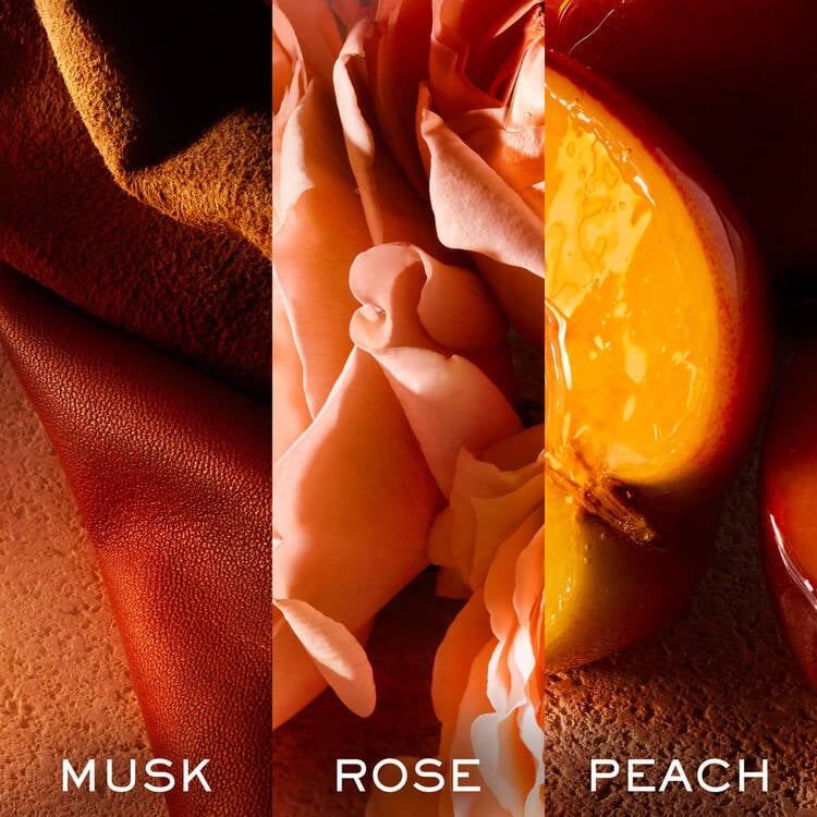 Musk Note A Guide to Musk in Perfume: The Note & Scent of Musk - Lancôme