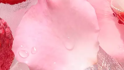 Concentrated Rose