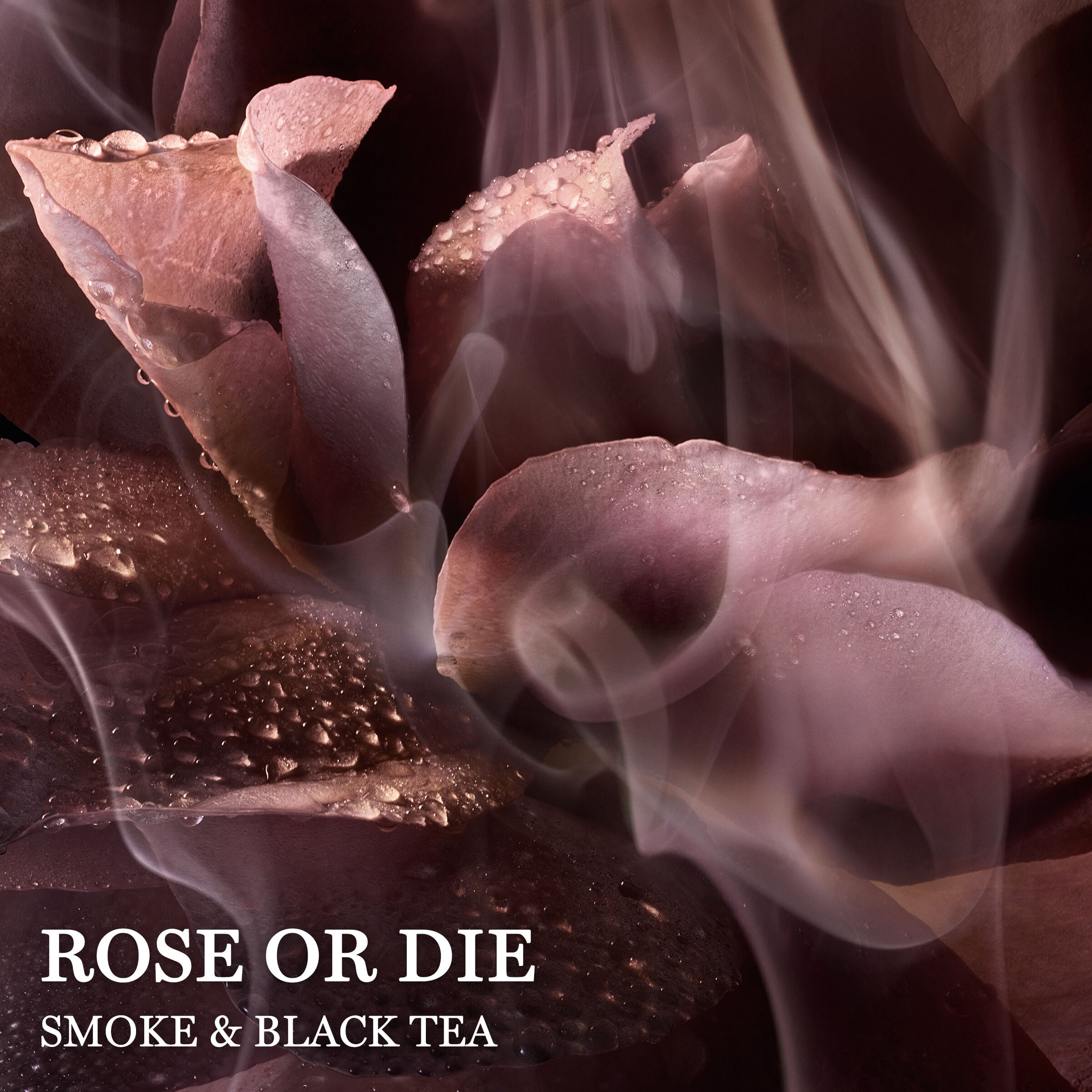 Absolue Les Parfum Rose or Die smells like smoke and black tea 