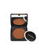 Dual Finish Powder Foundation
