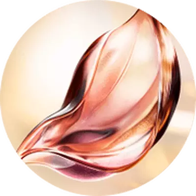 EXCLUSIVE & PATENTED ABSOLUE PERPETUAL ROSE MOLECULAR FRACTIONS™