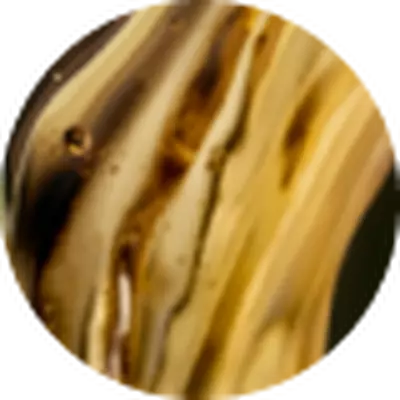 Jojoba Oil