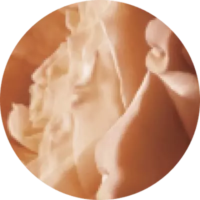 SENSUOUS CARNAL ROSE