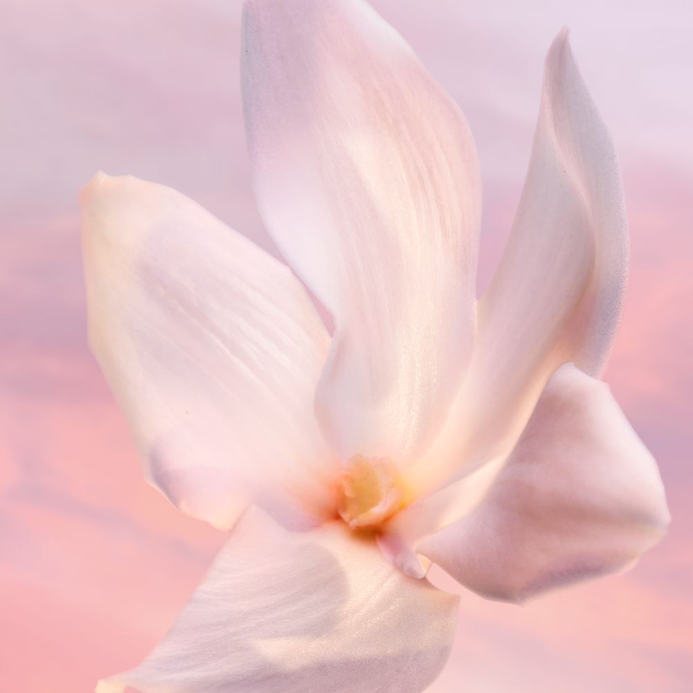 alt for first image of ingredient