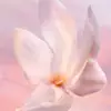 alt for first image of ingredient