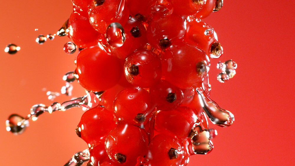 Red berries with splashing water.