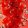 Red berries with splashing water.