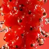 Red berries with splashing water.