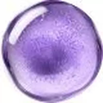 Ferulic Acid