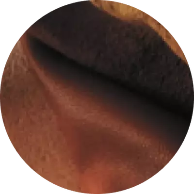 WARM IMPERIAL SANDALWOOD