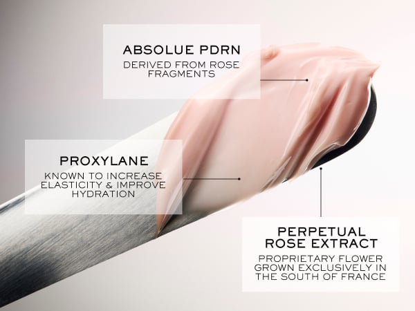 Absolue Longevity Soft Cream - Visibly Firm & Hydrate - Lancôme